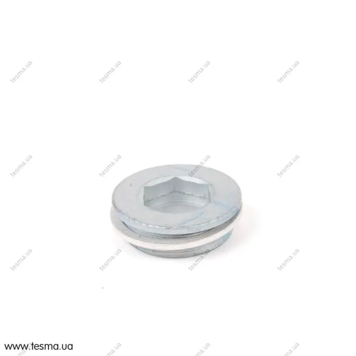 Пробка різьбова M30X1 M57/M47 BMW 11142248640 (фото 1)