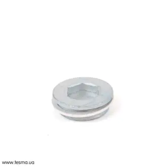 Пробка різьбова M30X1 M57/M47 BMW 11142248640