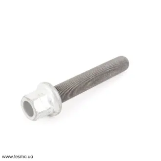 Болт шківа колінвалу (N20/N26/N55/S55) BMW 11217614270