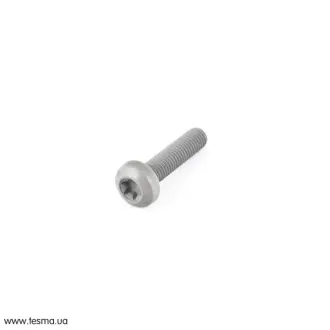 Болт зірочки насосу оливи Torx M8x35 M47/M57 BMW 11412248162