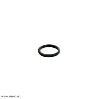 Кільце кр.18.0X2.5 M60/N62/N63 BMW 11421741129