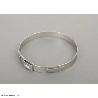 Хомут BMW 13717594396
