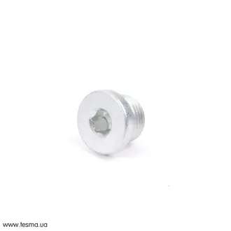 Різьбова пробка АКПП M18X1,5 BMW 23127602815