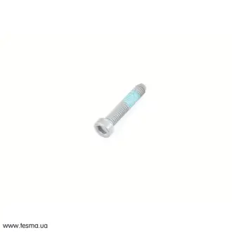 Болт*M6X31.2 G21 BMW 24507588756