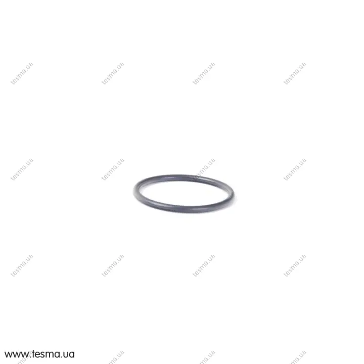 Кільце ущільнювальне 32X2,5 BMW 27107548348 (фото 1)