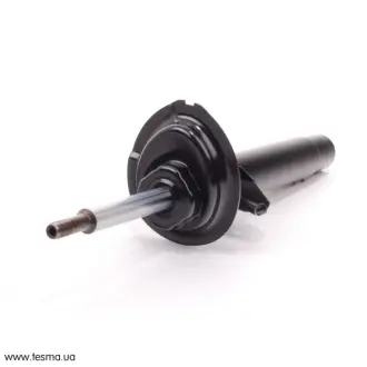Запчастина BMW 31316750790