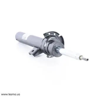 Запчастина BMW 31316796316