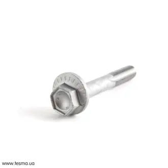 Гвинт для коригування роз BMW 33303411801