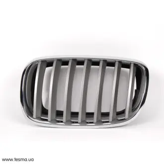 Решетка радиатора BMW 51137185223