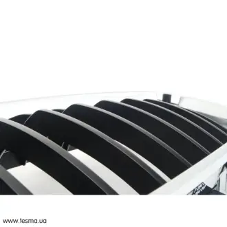Решітка декор SPORT (ПРОМО) BMW 51137294807
