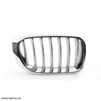 Решітка Пд R F25 BMW 51137367422
