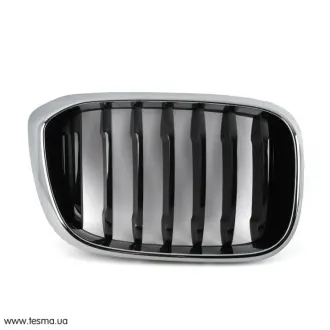 Решітка радіатору R G01 BMW 51137440854