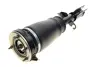 Подушка пневмопідвіски (спереду) BMW X5 (E53) 00-06 (R) BOGAP B3426101 (фото 1)