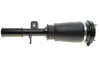 Подушка пневмопідвіски (спереду) BMW X5 (E53) 00-06 (R) BOGAP B3426101 (фото 3)