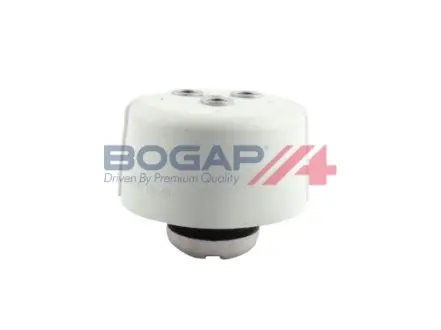 Кріплення двигуна BOGAP C1911109