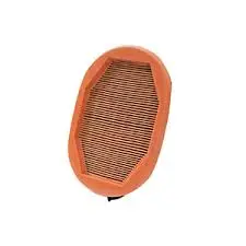 Air filter, by-pass. Фильтр воздушный, запасный BOMAG 05821495