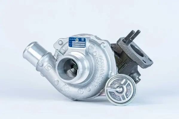 Автозапчасть BORGWARNER 53039880514 (фото 1)