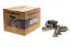 Турбіна VW T5/Caddy III 1.9TDI (55kW/77kW) 04-10 BORGWARNER 5439 988 0048 (фото 1)