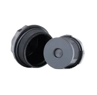 Hydraulic filter, cartridge. Фильтр гидравлический, вставка BORGWARNER DS120359