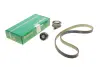 Комплект ГРМ VW Caddy IV 1.0-1.4TSI 15- (OE VAG) BORSEHUNG B10210 (фото 1)