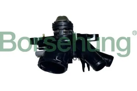 Термостат в зборі BORSEHUNG B10557