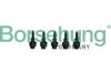 Болт кришки клапанної VW Golf V/VI/Passat B6/B7 1.8/2.0 TFSI 04-16 (к-кт 5шт) BORSEHUNG B10628 (фото 1)