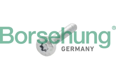 Болт ГРМ Audi A3 03-/VW Golf 1.4-1.6 TSI/TFSI 03- BORSEHUNG B10634