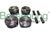 Поршень двигуна; 4pcs BORSEHUNG B11139 (фото 1)