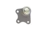 Опора кульова (передня/знизу/L) Skoda Fabia/VW Polo 1.2/1.9TDI 99-15 BORSEHUNG B11338 (фото 3)