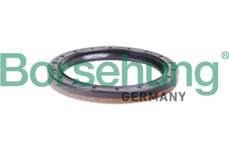 Сальник КПП (R) VW Passat 2.0TSI/TDI 14- (65x83x8/8) BORSEHUNG B12197