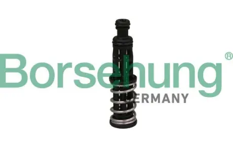 Клапан фільтра масляного BORSEHUNG B12309