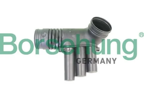Впускний шланг, повітряний фільтр BORSEHUNG B12330
