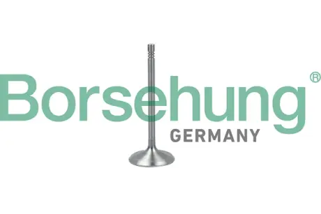 Клапан впускний BORSEHUNG B19017