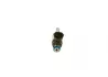 Паливний інжектор NISSAN JUKE, QASHQAI II, X-TRAIL III 1.6/2.0 06.10- BOSCH 026150004R (фото 1)