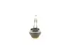 Лампочки освітлення. ксенон. LED BOSCH 1 987 302 029 (фото 4)