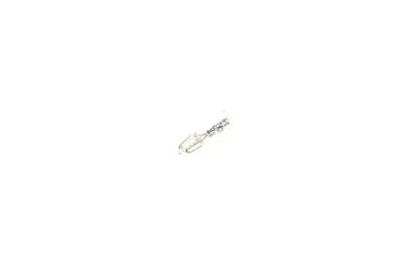 Лампа розжарювання W2.3W 12V 2.3W W2x4.6d PURE LIGHT (вир-во Bosch) BOSCH 1987302240