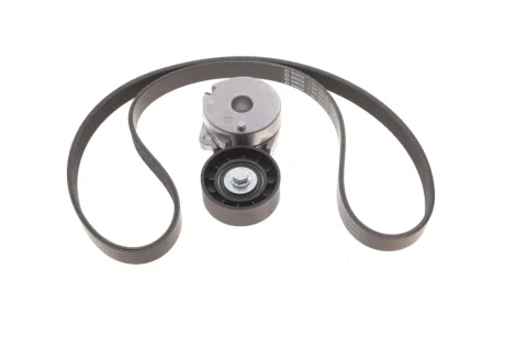 Комплект ременя генератора Renault Megane IV 1.6 TCe 16- (6PK1213) BOSCH 1987600717