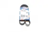 Ремінь генератора BMW 1 (F20/F21)/3 (F30/F80) 1.6i 11-/Honda Civic VII/FR-V 1.7i 01- (6PK986) BOSCH 1987946020 (фото 1)