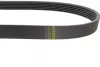 Ремінь генератора BMW 1 (F20/F21)/3 (F30/F80) 1.6i 11-/Honda Civic VII/FR-V 1.7i 01- (6PK986) BOSCH 1987946020 (фото 2)