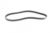 Ремінь генератора BMW 1 (F20/F21)/3 (F30/F80) 1.6i 11-/Honda Civic VII/FR-V 1.7i 01- (6PK986) BOSCH 1987946020 (фото 5)