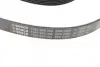 Доріжковий ремінь 6PK2285 BOSCH 1987946082 (фото 2)