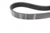 Ремінь генератора Ford Fiesta VI/Mondeo IV 08- (6PK1029) BOSCH 1987946143 (фото 3)