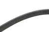 Ремінь генератора VW T5 3.2 V6 03-09/Sharan/Ford Galaxy 2.8 V6 00-10 (6PK1325) BOSCH 1987946206 (фото 3)