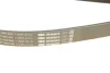 Ремінь генератора Ford Transit 2.4 TDCI 00-06 (7PK2710) BOSCH 1987946285 (фото 4)