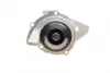Комплект ГРМ + помпа Citroen Jumpy 2.0HDi/Fiat Scudo 2.0D Multijet 10-(25.4x116z) замінено на 1 987 946 669 BOSCH 1987946497 (фото 12)