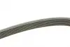 Ремінь генератора Skoda Octavia 1.4/1.6 96-10/BMW 5 (E60)/X5 (E53) 01-09 (N47/M62) (6PK1548) BOSCH 1987947547 (фото 2)