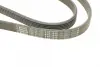 Ремінь генератора Skoda Octavia 1.4/1.6 96-10/BMW 5 (E60)/X5 (E53) 01-09 (N47/M62) (6PK1548) BOSCH 1987947547 (фото 4)