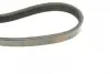 Ремінь генератора Citroen Jumper 1.9TD 94-02 (4PK698) BOSCH 1987947803 (фото 3)