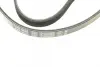 Ремінь генератора Citroen Jumper 1.9TD 94-02 (4PK698) BOSCH 1987947803 (фото 5)