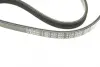 Ремінь генератора Citroen Jumper 1.9TD 94-02 (4PK698) BOSCH 1987947803 (фото 6)
